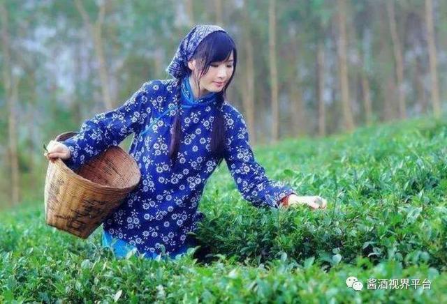抖音賣什么東西，抖音賣衣服特別火的女的叫啥？