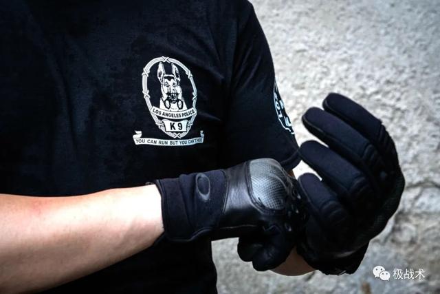 k9都要做什么，k9都要做什么字母圈？