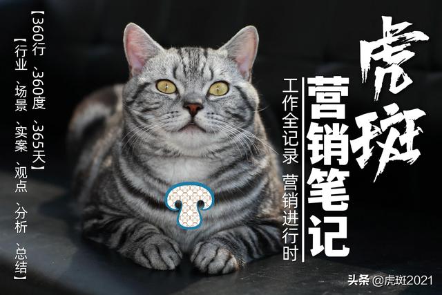 小馬宋營銷日歷，小馬宋文案？
