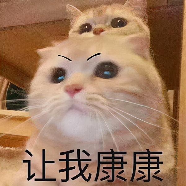 淘寶金牌賣家是什么意思，淘寶金牌賣家是什么意思能看到使用月卡嗎？