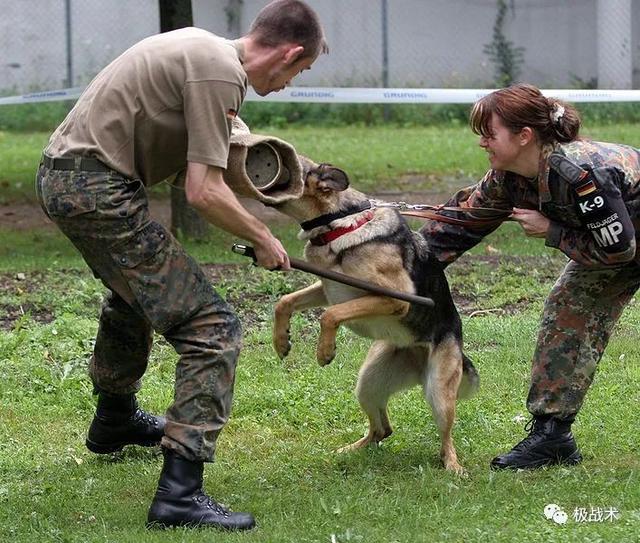 k9都要做什么，k9都要做什么字母圈？