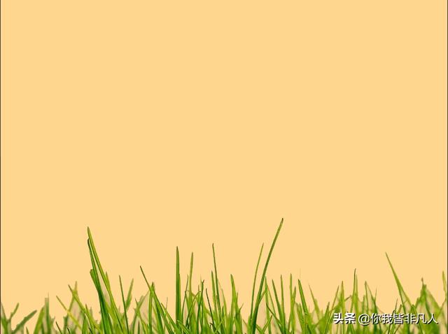 情侶短視頻素材，情感短視頻素材庫(kù)網(wǎng)站？