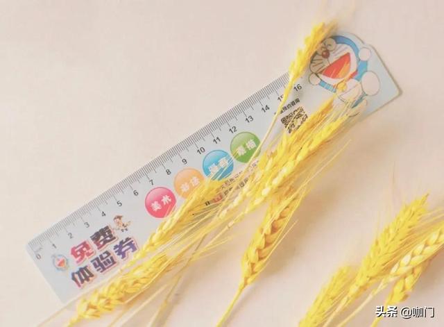 發(fā)傳單怎么吸引客戶進店（發(fā)傳單怎么吸引客戶的）