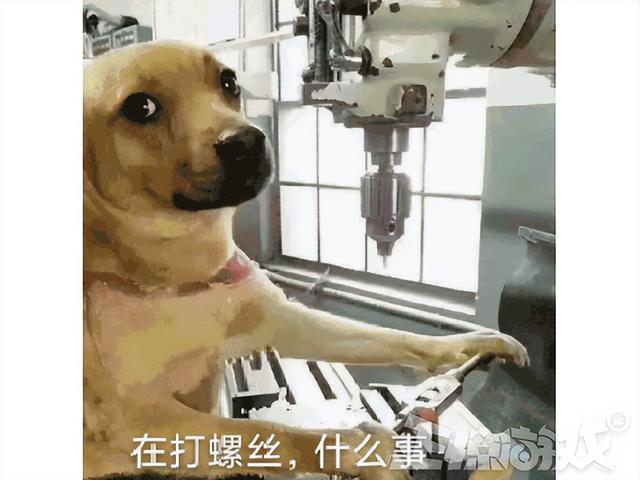 虎牙hsl爐石傳說，爐石xg直播間？