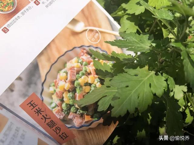 粉絲烤扇貝蒜蓉的做法，空氣炸鍋可以烤扇貝粉絲？