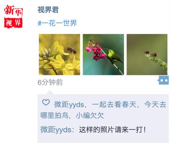 照片太普通？這幾招讓你的春日朋友圈更吸引人