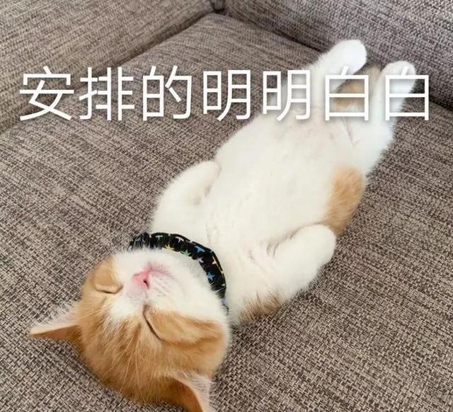 誰能告訴我網(wǎng)絡(luò)直播掙錢嗎，直播為什么這么賺錢？