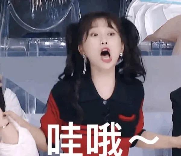 趙露思的粉絲名應(yīng)該叫什么，趙露思現(xiàn)在的粉絲名叫什么？