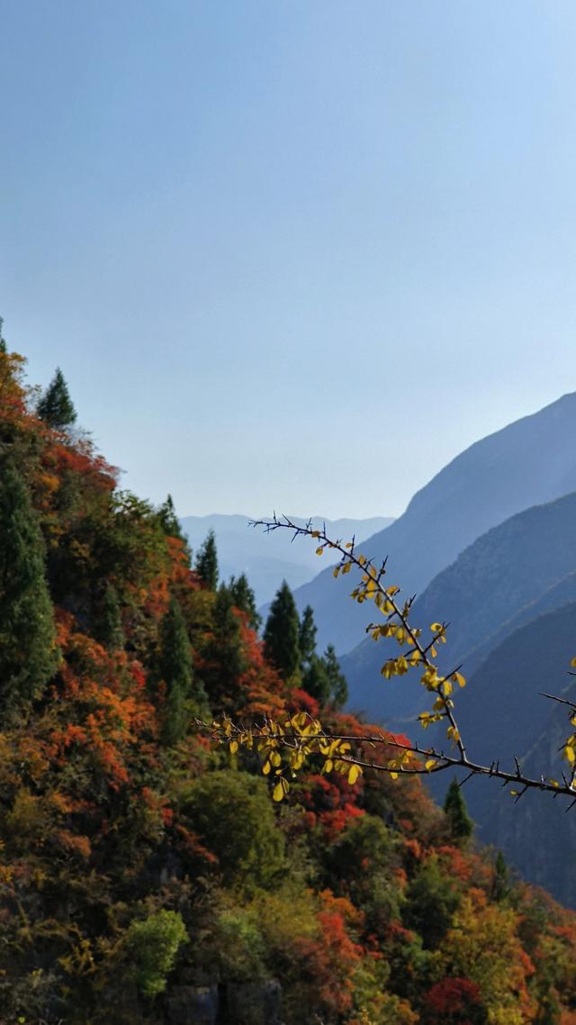 冬天久違的太陽(yáng)朋友圈說(shuō)說(shuō)圖片，冬天久違的太陽(yáng)朋友圈說(shuō)說(shuō)搞笑？