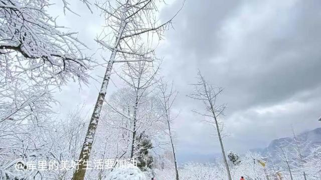 一些不起眼但是很暴利的項目叫什么，一些不起眼但是很暴利的項目叫什么名字