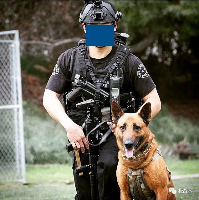 k9都要做什么，k9都要做什么字母圈？