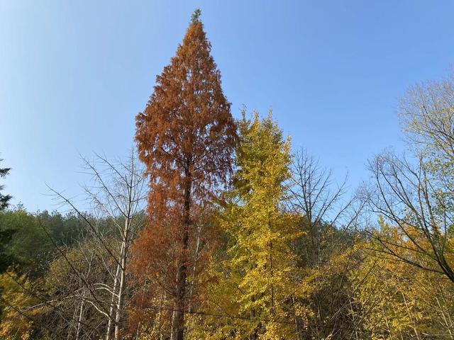 一家四口旅游發(fā)朋友圈，夫妻故地重游發(fā)朋友圈美句？