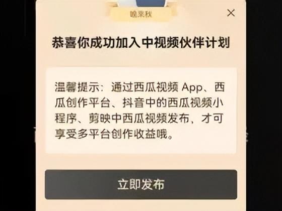 中視頻計劃怎么賺錢怎么操作，中視頻計劃能賺錢嗎？