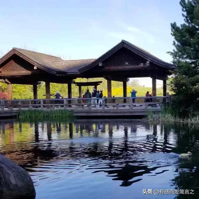 微信怎么進入公眾號管理，微信怎么進入公眾號微社區(qū)？