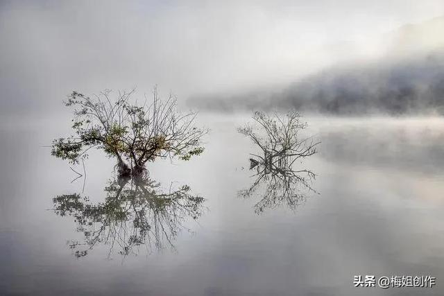 抖音自媒體怎么賺錢(qián)收入來(lái)源，抖音自媒體是怎么賺錢(qián)的？