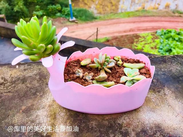 一些不起眼但是很暴利的項目叫什么，一些不起眼但是很暴利的項目叫什么名字