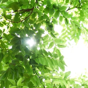 自己生病發(fā)朋友圈的句子，自己生病發(fā)朋友圈的句子圖片？