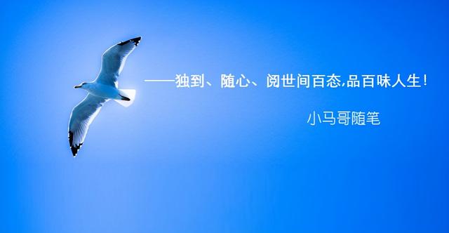 抖音書單號怎么做轉(zhuǎn)化率高，抖音書單號怎么做賺錢？