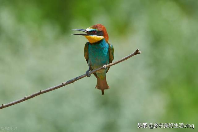 中視頻伙伴計(jì)劃收益怎么算，中視頻伙伴計(jì)劃1萬(wàn)播放量多少錢(qián)？