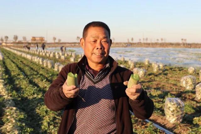 拼多多賣什么好賣又掙錢投資小，拼多多賣什么好賣又掙錢投資小生意？