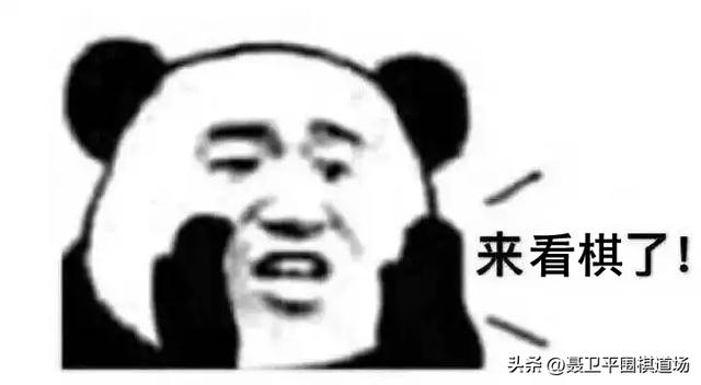 農(nóng)心杯今天比賽直播回放，農(nóng)心杯今天比賽直播回放在哪看？