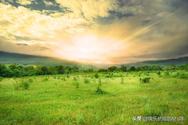 身體不舒服的句子發(fā)朋友圈圖片，身體不舒服的句子發(fā)朋友圈圖片大全？