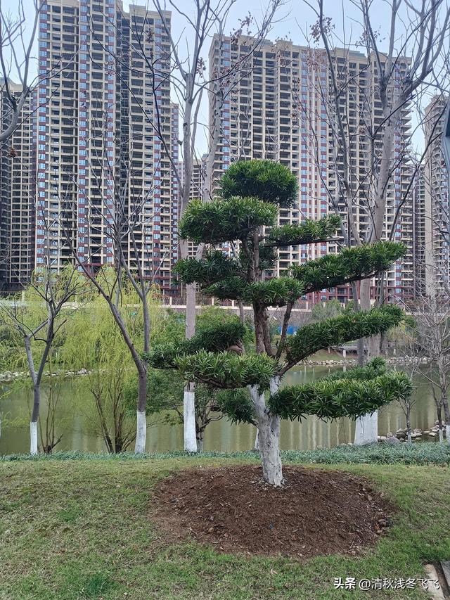 大男人直播視頻大全，大男人直播視頻大全在線觀看？
