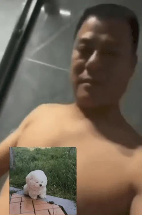 小楊哥最近視頻，為什么小楊哥的舊視頻沒有了？