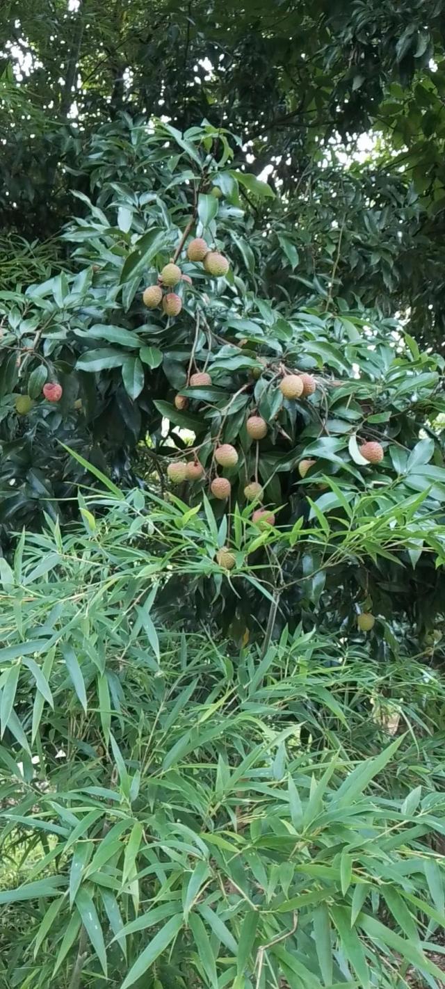 農村做什么生意賺錢未來，2020農村做什么生意有前景？