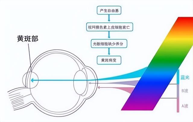 小紅書投屏到電視上怎么操作ios，小紅書投屏到電視上怎么操作_安卓？