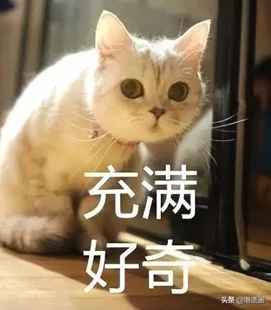香港直播app都有什么，香港tvb直播app下載？