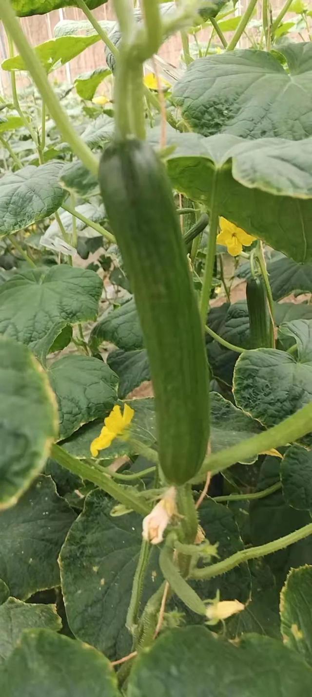 疫情期間做什么生意比較好賺錢大齡下崗人的，現(xiàn)在疫情期間做什么生意好？