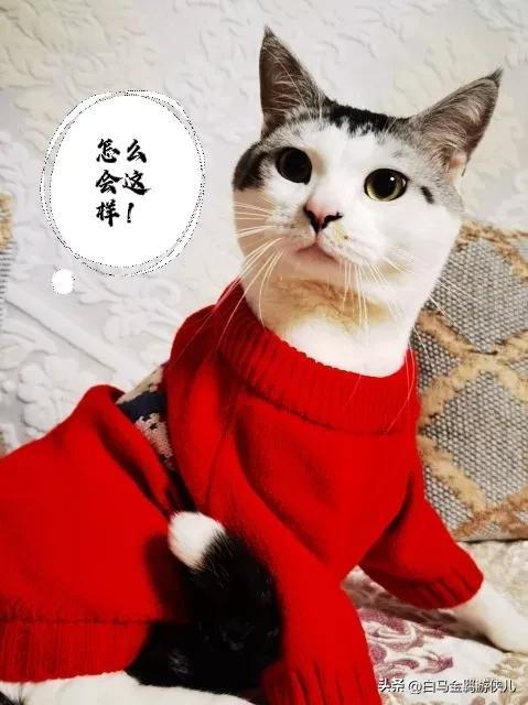 淘寶沒(méi)有換貨選項(xiàng)是怎么回事，淘寶換貨怎么寄回去？