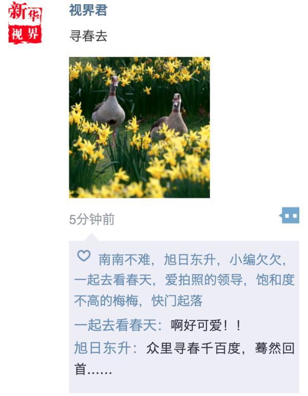 照片太普通？這幾招讓你的春日朋友圈更吸引人