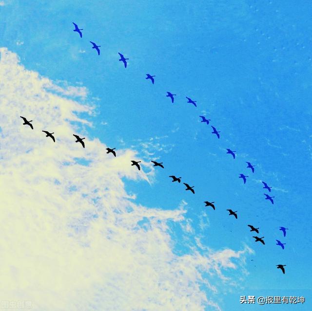 端午節(jié)公眾號(hào)標(biāo)題怎么取，端午節(jié)的公眾號(hào)標(biāo)題？