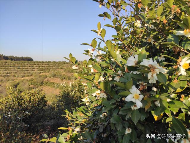 快手一萬(wàn)粉絲發(fā)作品怎么賺錢，快手粉絲5000千怎么發(fā)作品掙錢？