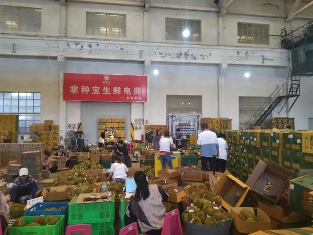 榴蓮直播平臺(tái)下載地址，榴蓮直播平臺(tái)下載地址在哪？