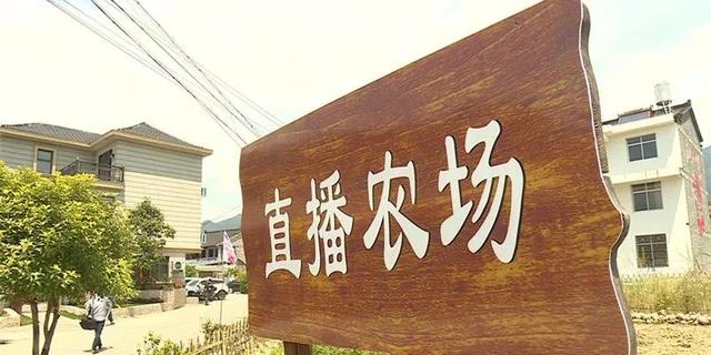 農(nóng)村有沒有好的創(chuàng)業(yè)項(xiàng)目，農(nóng)村有沒有好的創(chuàng)業(yè)項(xiàng)目經(jīng)理？