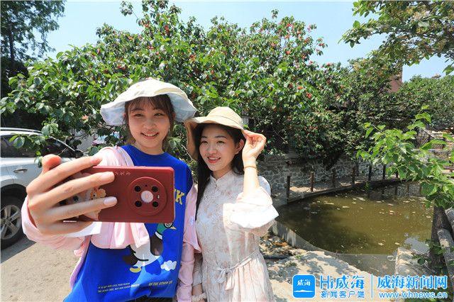 小櫻桃直播視頻回看在哪，小櫻桃live直播特別版？