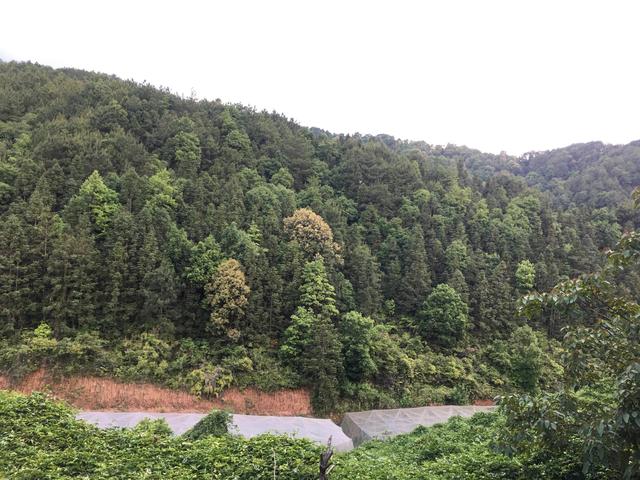 如何讓客戶喜歡你的產(chǎn)品走進(jìn)創(chuàng)業(yè)階段，如何讓客戶喜歡你的產(chǎn)品走進(jìn)創(chuàng)業(yè)園？
