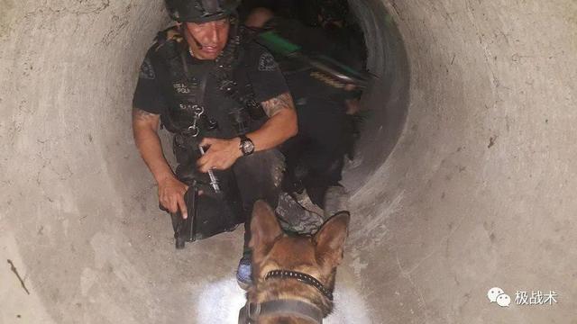 k9都要做什么，k9都要做什么字母圈？