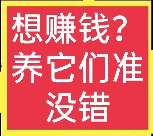 農(nóng)村適合養(yǎng)殖什么項目賺錢，農(nóng)村適合養(yǎng)殖什么項目賺錢多？