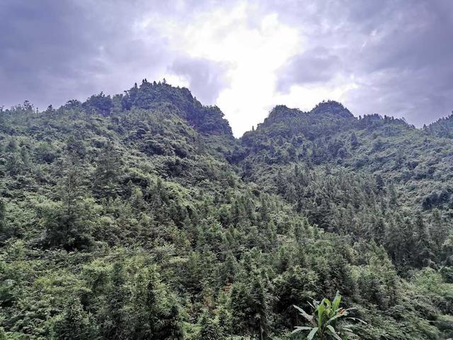 失而復(fù)得的東西怎么發(fā)朋友圈圖片文字，失而復(fù)得的東西怎么發(fā)朋友圈圖片大全？