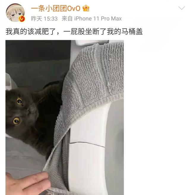 團團直播間哪里看，小團團斗魚直播間？
