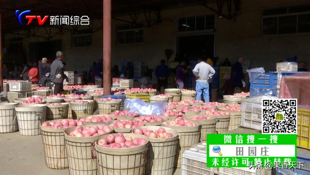 蘋果賺錢軟件，蘋果賺錢軟件真實可靠？