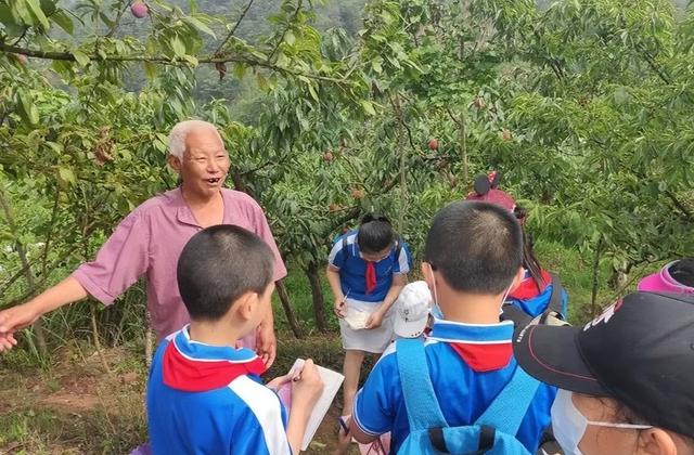 桃子直播視頻免費(fèi)觀看在線，桃子直播視頻免費(fèi)觀看在線播放？