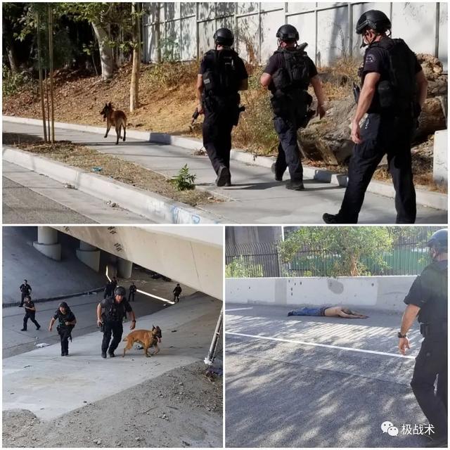 k9都要做什么，k9都要做什么字母圈？