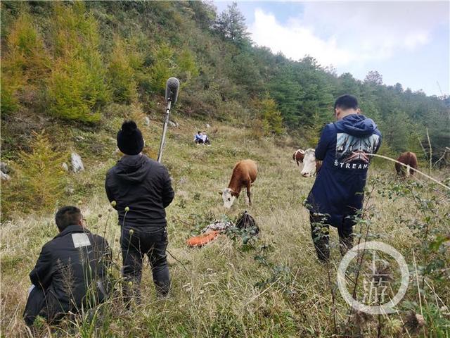 抖音播放量怎么提升最有效方法，抖音播放量怎么提升最有效方法視頻？
