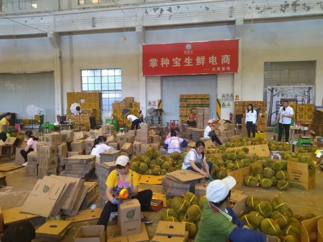 榴蓮直播平臺(tái)下載地址，榴蓮直播平臺(tái)下載地址在哪？