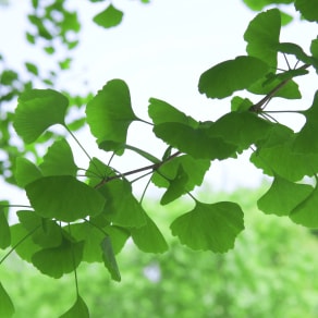 看風(fēng)景發(fā)朋友圈的精美句子，出去看風(fēng)景發(fā)朋友圈的精美句子？